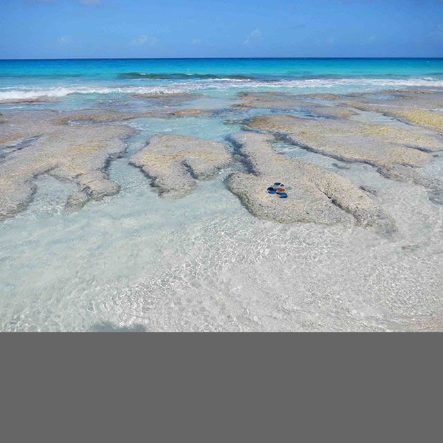 Stromatolites