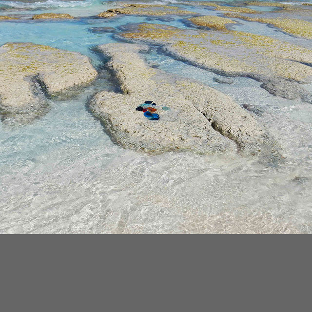 Stromatolites