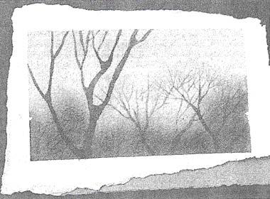 Artist M.J. Levy Dickson's Yellow
Sunrise Artist M.J. Levy Dickson's Yellow
Sunrise